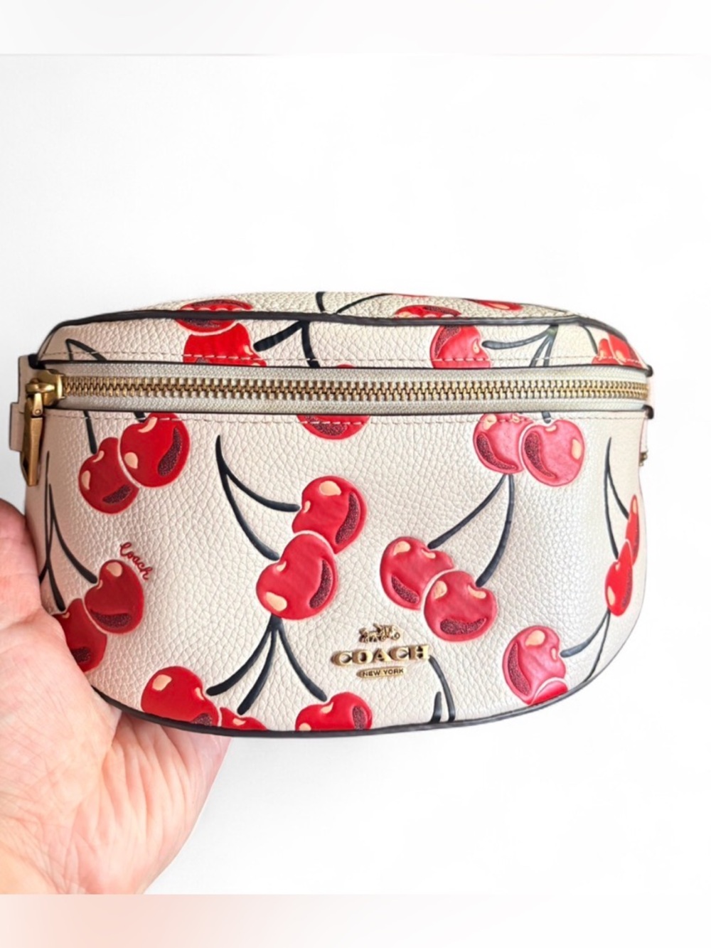 Coach Cherry Bethany Crossbody Fany Pack